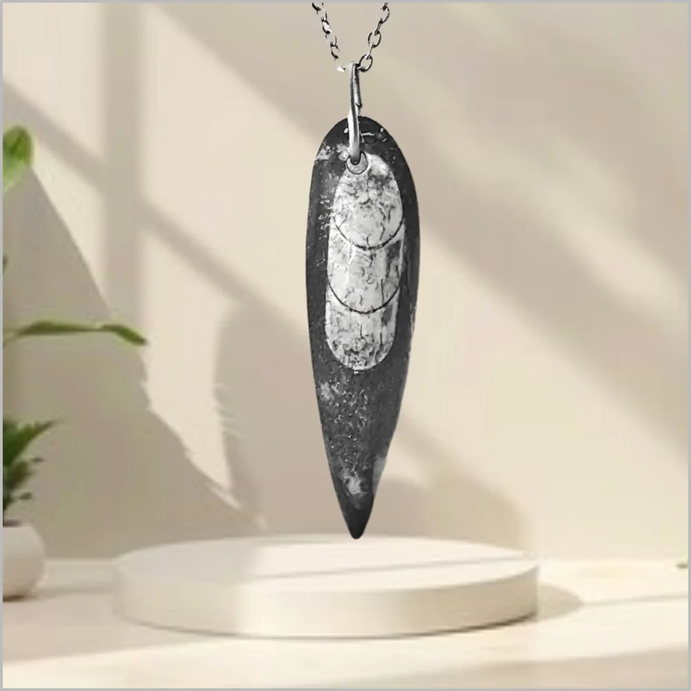 Genuine Orthoceras Fossil Pendant with Stainless Steel Necklace